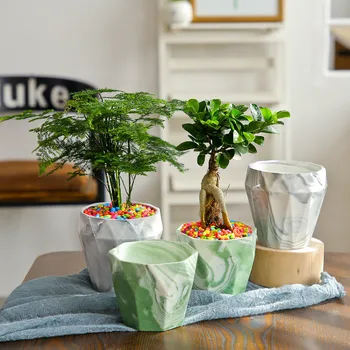 Kreative Keramiske Multi-kød Flower Pot Nordisk Minimalistisk Amazon Gartneri Marmor Mønster Lille Grøn Plante Potteplanter