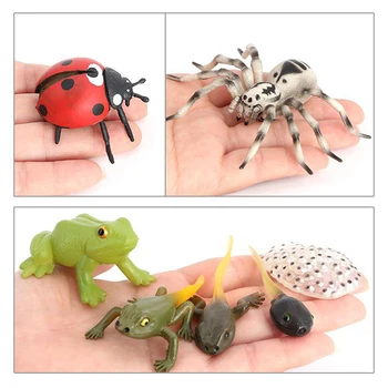 Børn Kognitiv Pædagogisk Legetøj Simulering Dyr, Et Insekt, Model Mini Dyr Butterfly Vækst Cyklus Pynt