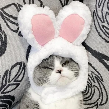 Pet Katte Hat Hovedklæde Dejlig Kanin Hat med Ører Cosplay Hat Tilbehør til Husholdningen Dyr Hest Levering