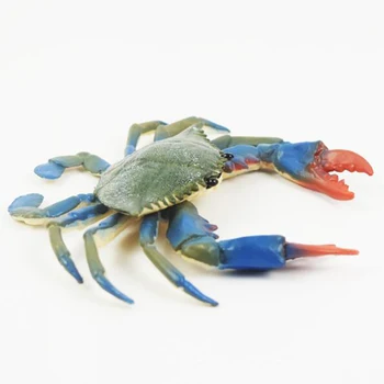 Store Blå Fod krabber Marine Dyr over Havet Til Gave Pædagogiske Rekvisitter Action Figurer Varmt Simulering Krabbe model Foto Rekvisitter